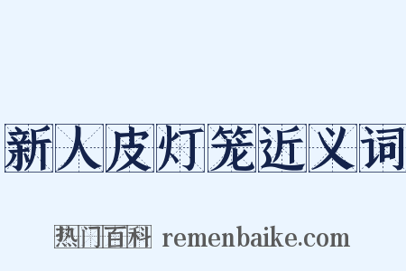 新人皮灯笼近义词是什么意思的图片
